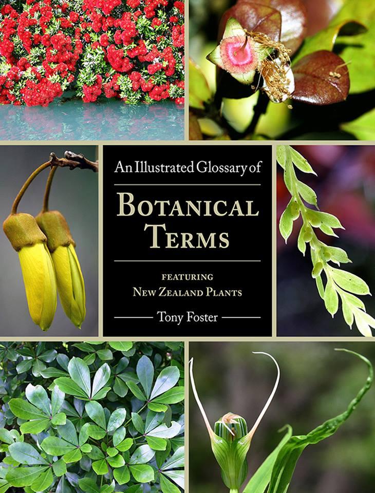Buy An Illustrated Glossary of Botanical Terms pdf download in NZ New Zealand.